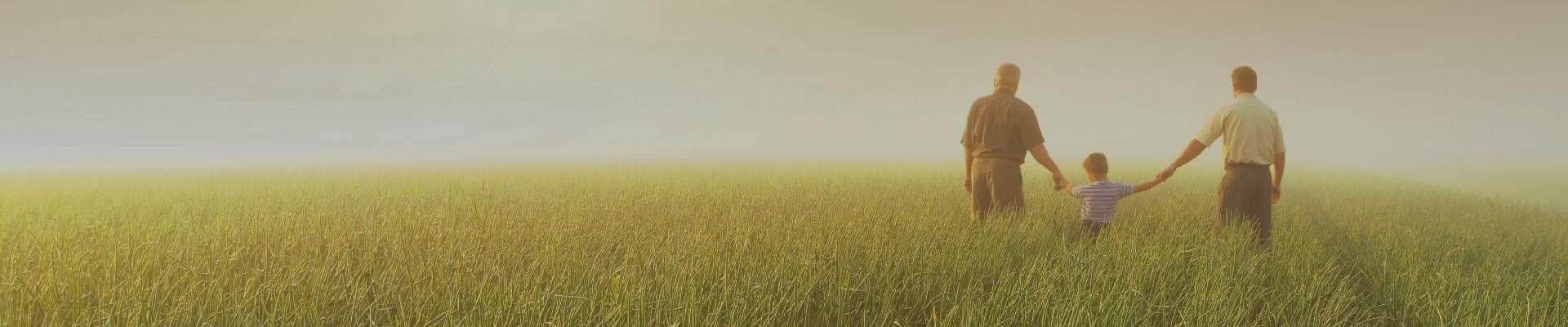 Takarmány Kapcsolat